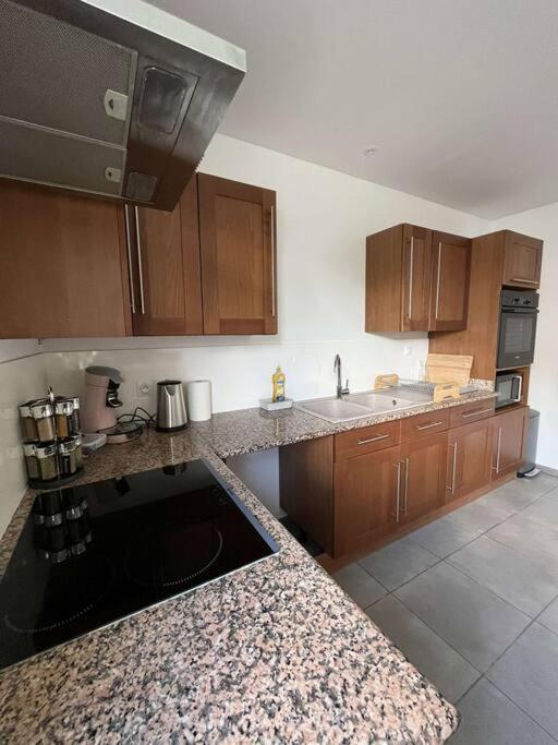La Maison Dardenne Villeneuve-sur-Lot Esterno foto